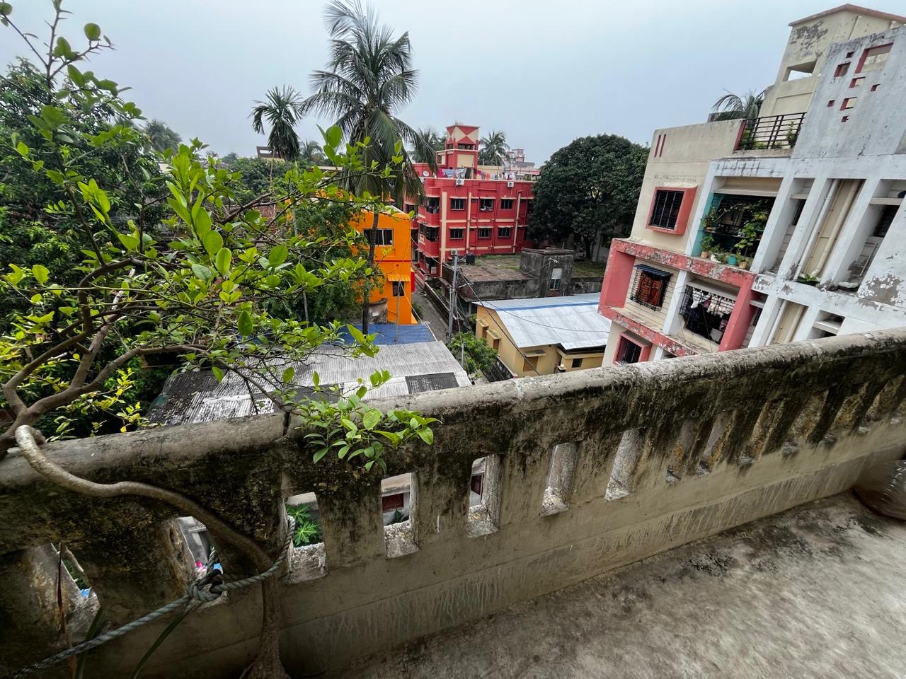 Flat in Palbazar Image 4